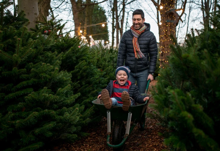 Christmas and Addiction. An image of a father giving his son a wheelbarrow ride at a Christmas market whilst Christmas tree shopping.