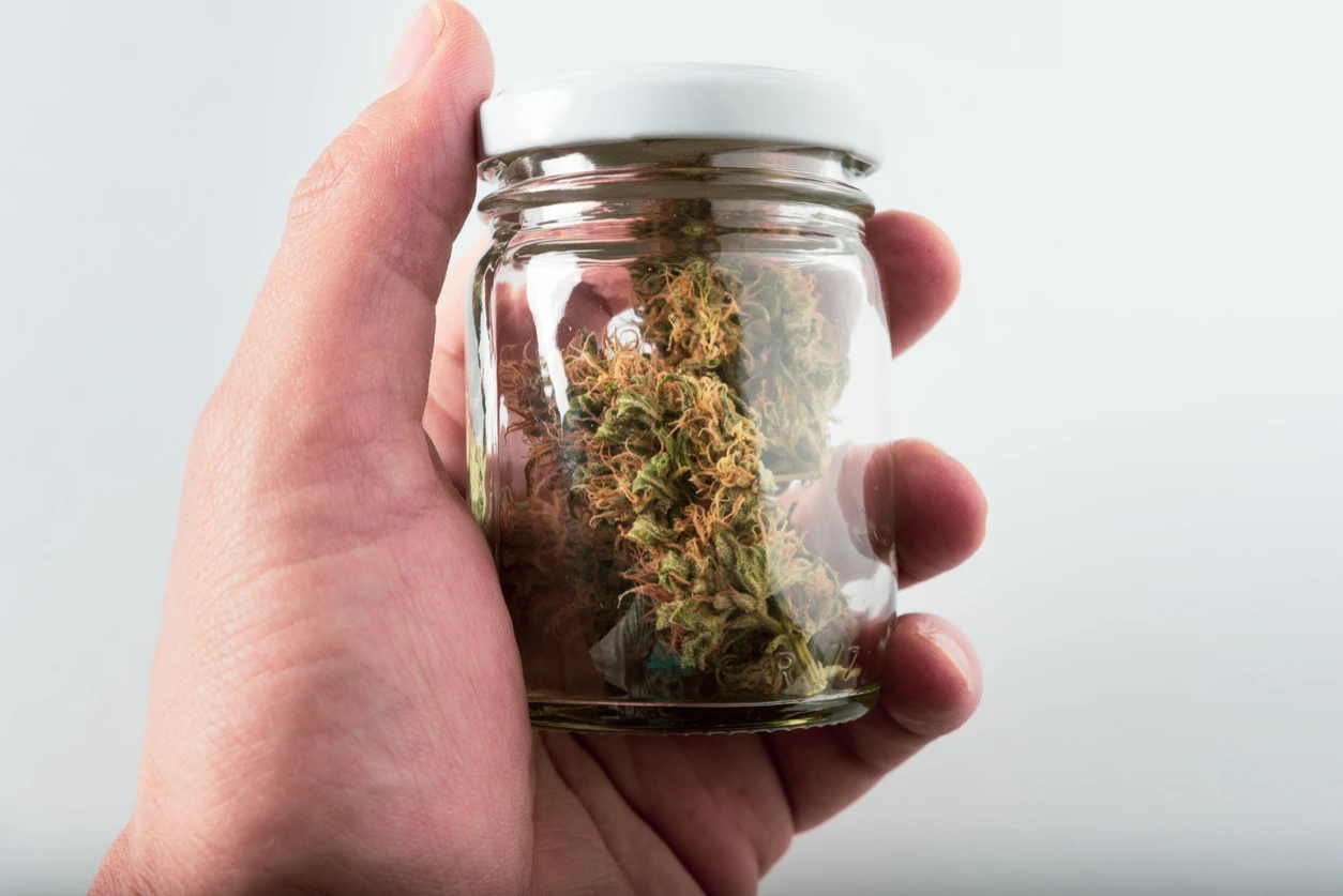 What is Cannabinoid Hyperemesis Syndrome? An image of an individual holding a jar of cannabis in their left hand.